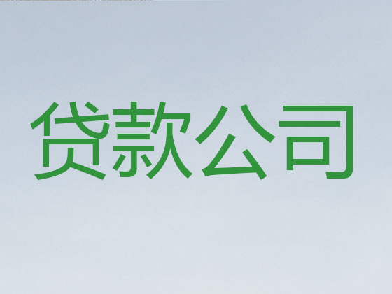 桐城贷款中介公司-信用贷款